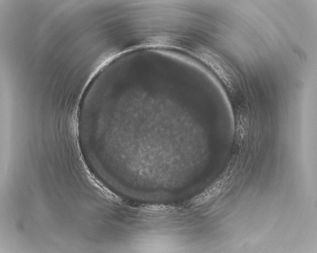 X0000115340950200911301545