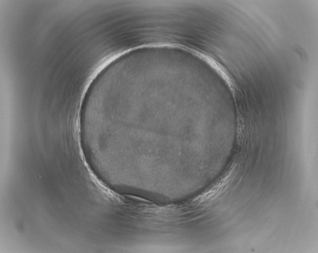 X0000115340951200911301545