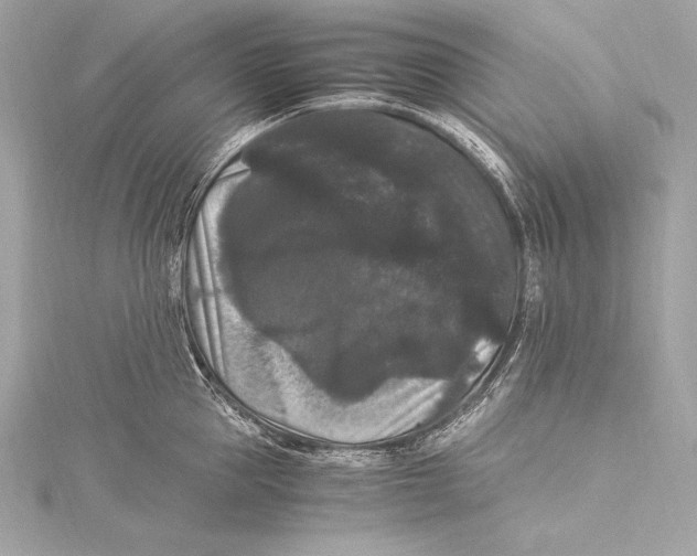 X0000115340953200911301545