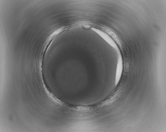 X0000115340954200911301545