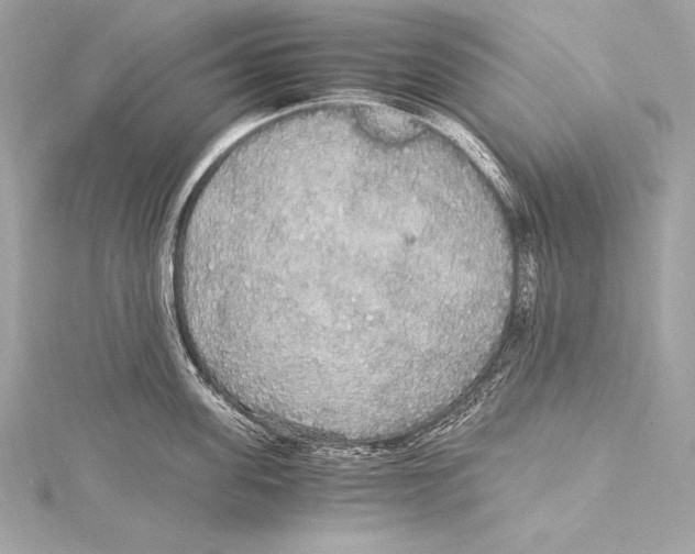 X0000115340955200911301545