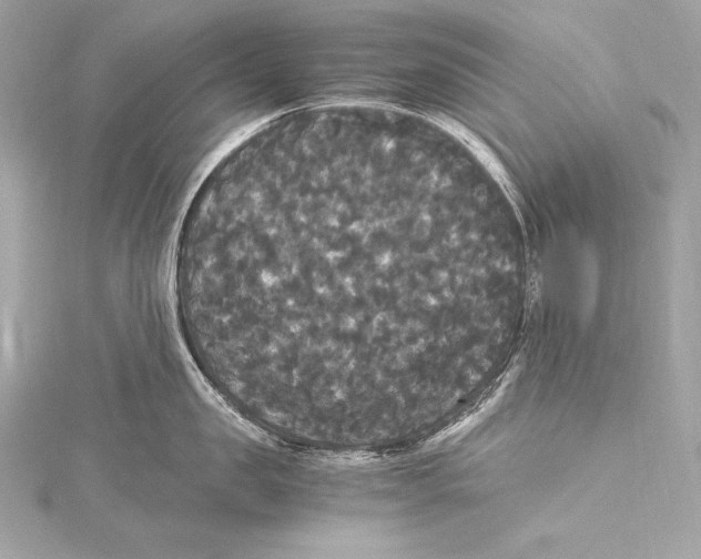 X0000115340957200911301545