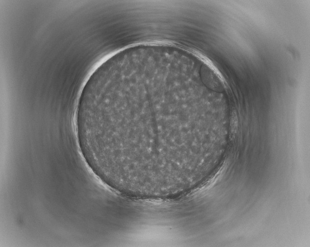 X0000115340959200911301545