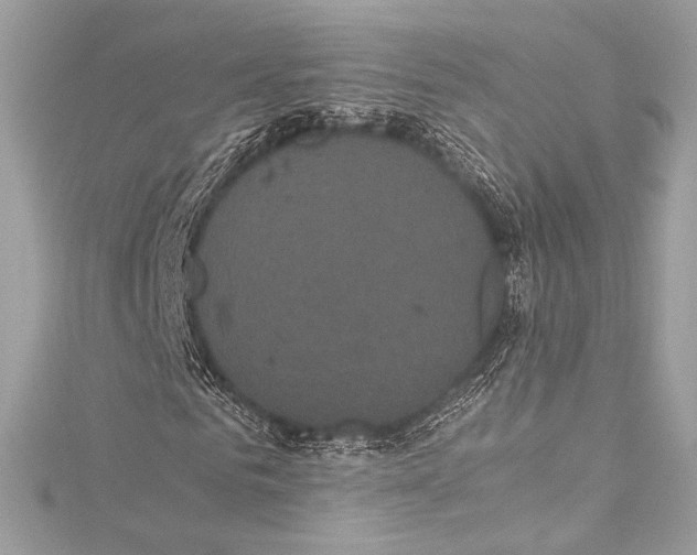 X0000115340961200911301544