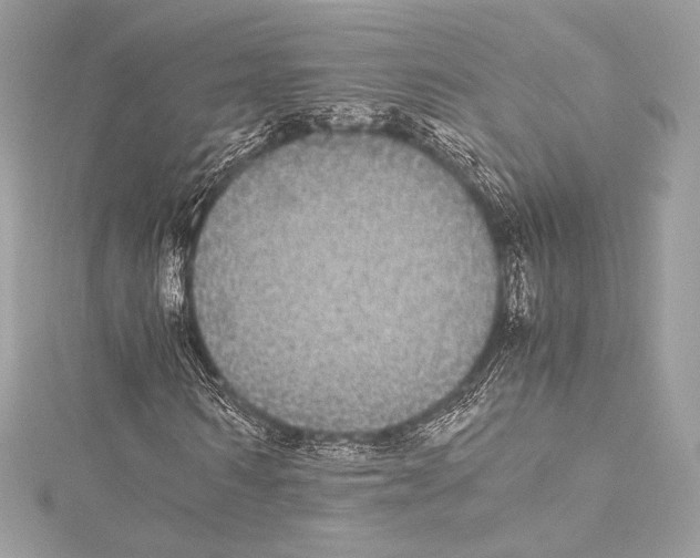 X0000115340962200911301544