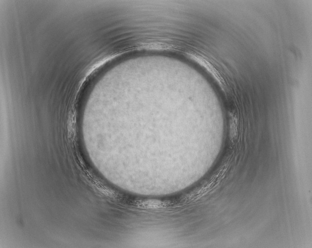 X0000115340971200911301544