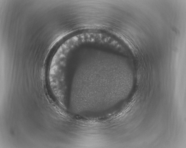 X0000115340975200911301544