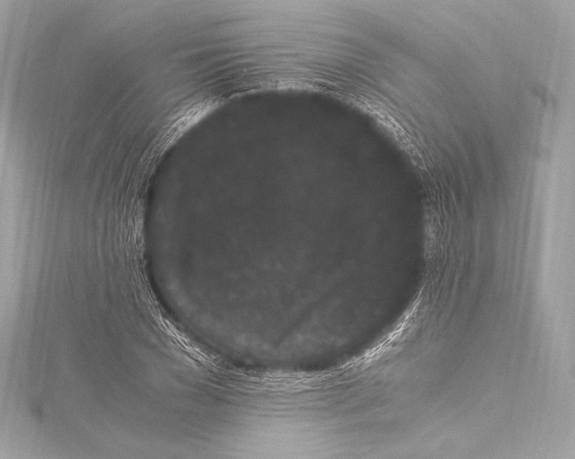 X0000115340977200911301544