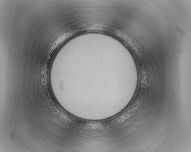 X0000115340978200911301544