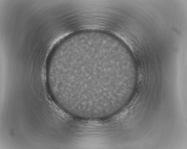 X0000115340979200911301544