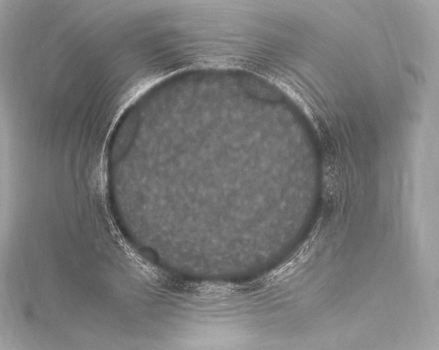 X0000115340981200911301544