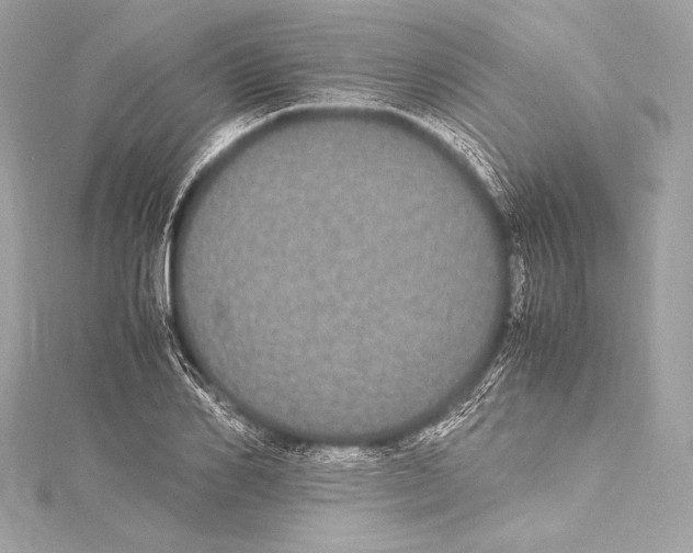 X0000115340982200911301544