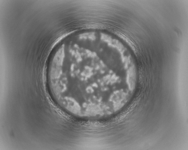 X0000115340983200911301544