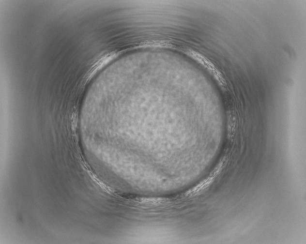 X0000115340985200911301544