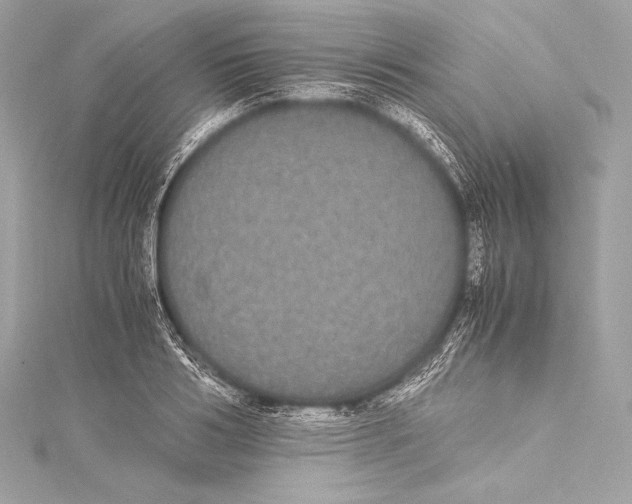 X0000115340986200911301544