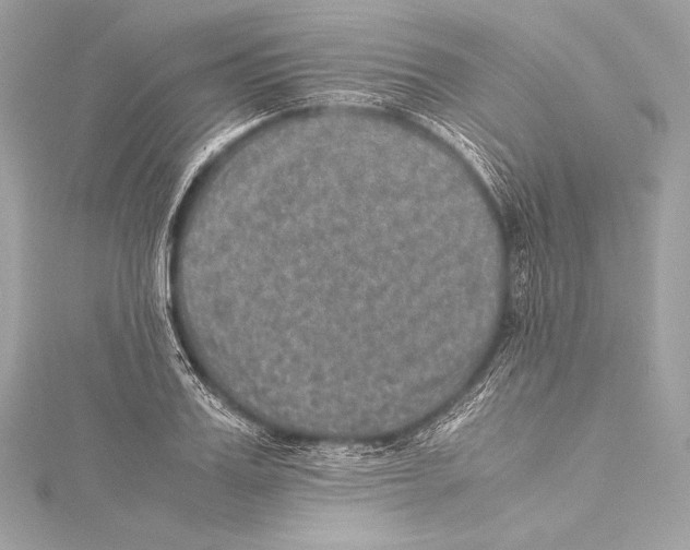 X0000115340987200911301544