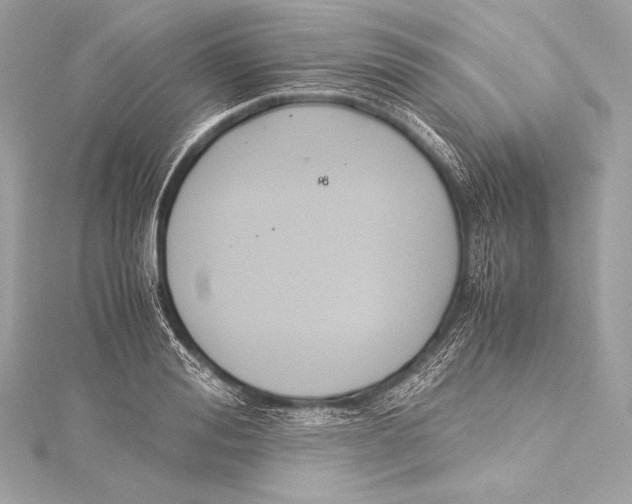 X0000115340988200911301544