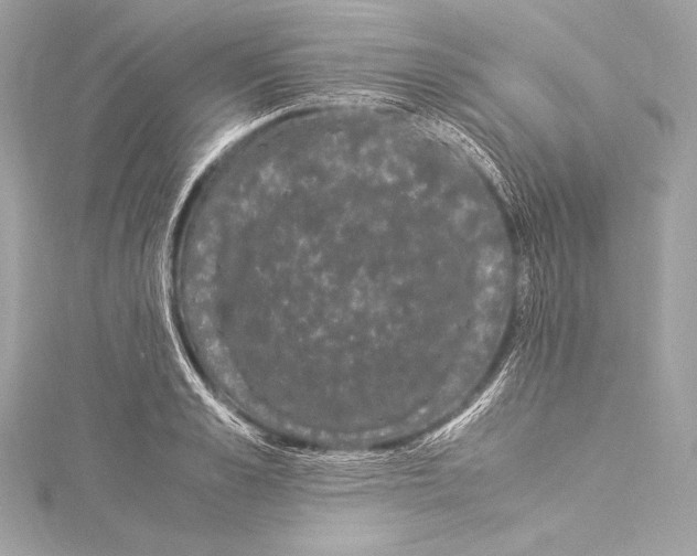 X0000115340989200911301544