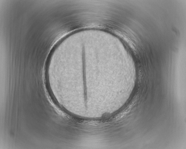 X0000115340991200911301544