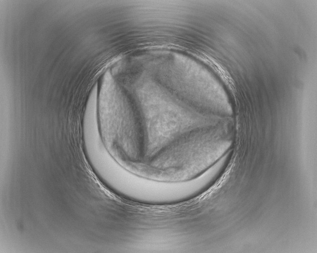 X0000115340993200911301544