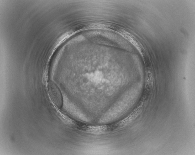 X0000115340997200911301544