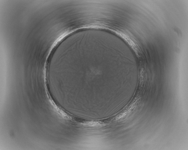 X0000115340998200911301544