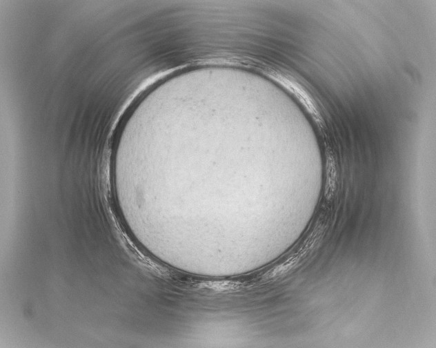 X0000115341000200911301544