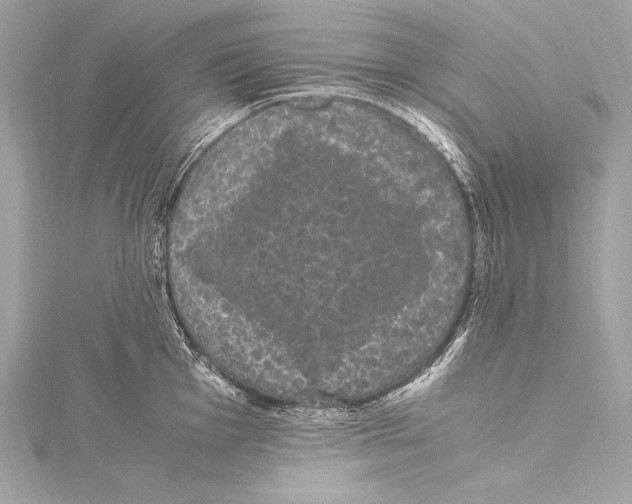 X0000115341001200911301544