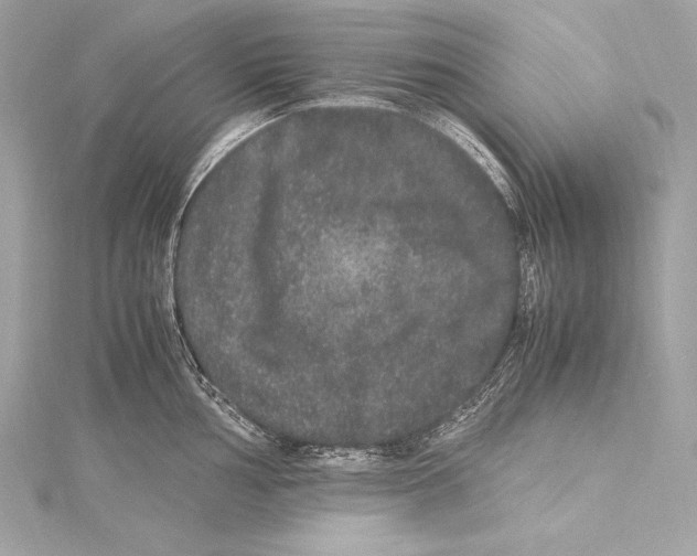 X0000115341002200911301544