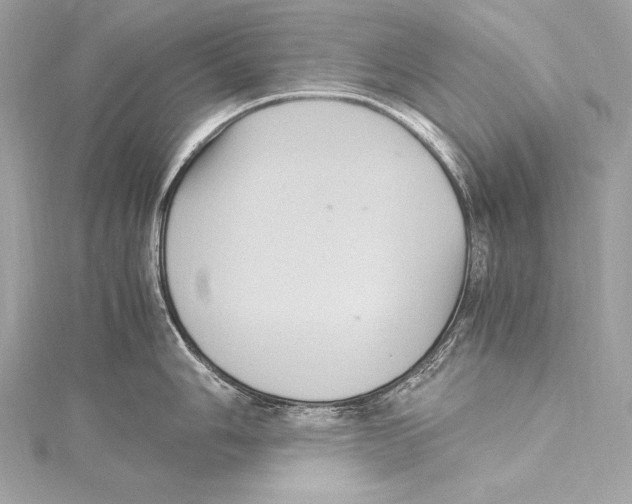 X0000115341006200911301544