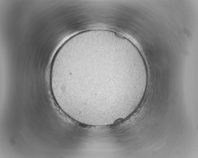 X0000115341008200911301544