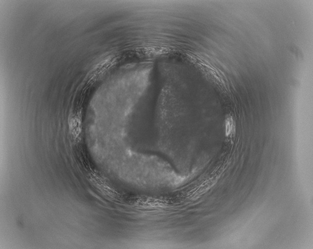 X0000115341011200911301543