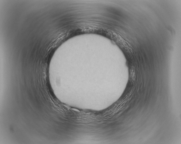 X0000115341012200911301543