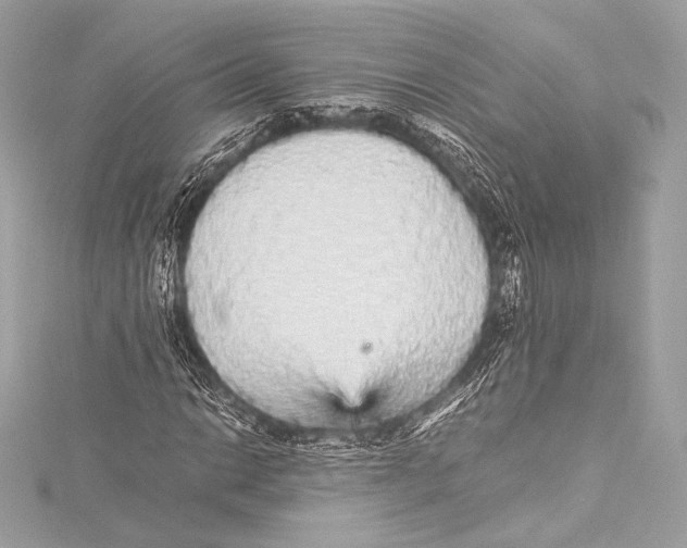 X0000115341014200911301543