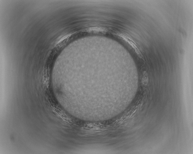 X0000115341015200911301543