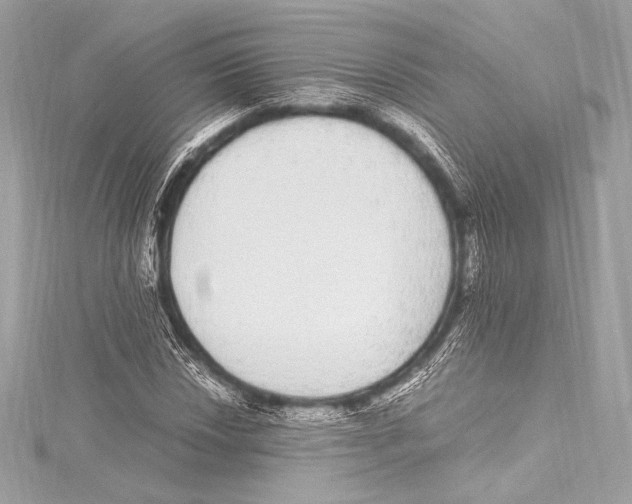 X0000115341018200911301543