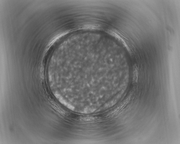 X0000115341019200911301543