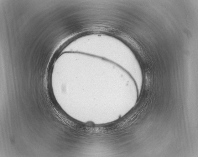 X0000115341020200911301543