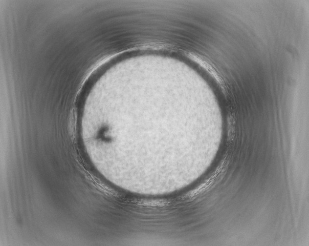 X0000115341021200911301543