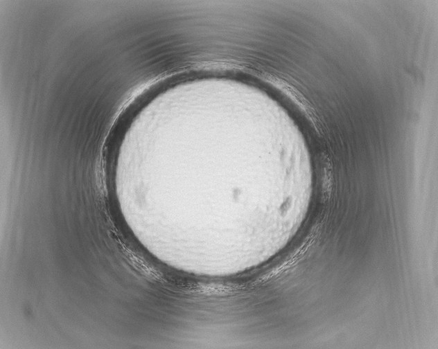 X0000115341022200911301543