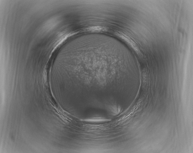 X0000115341023200911301543