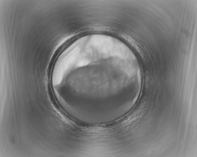 X0000115341024200911301543