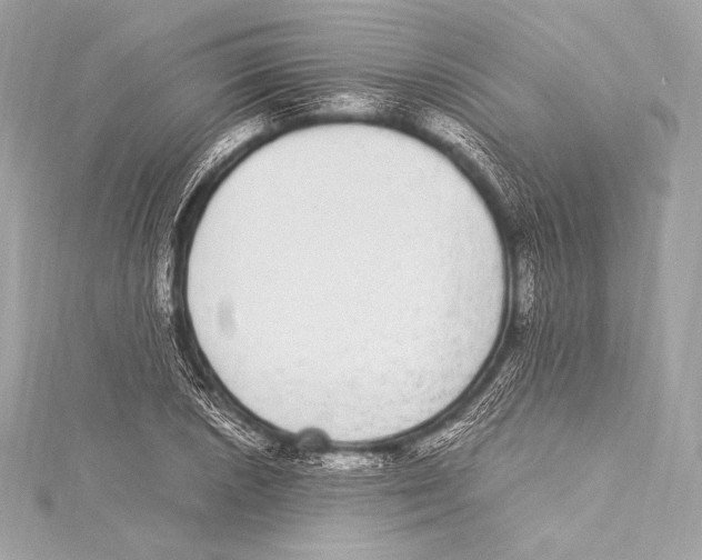 X0000115341026200911301543