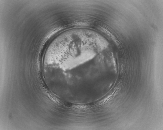 X0000115341027200911301543