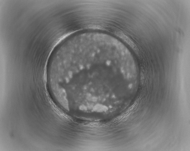 X0000115341028200911301543