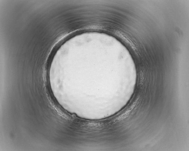 X0000115341029200911301543