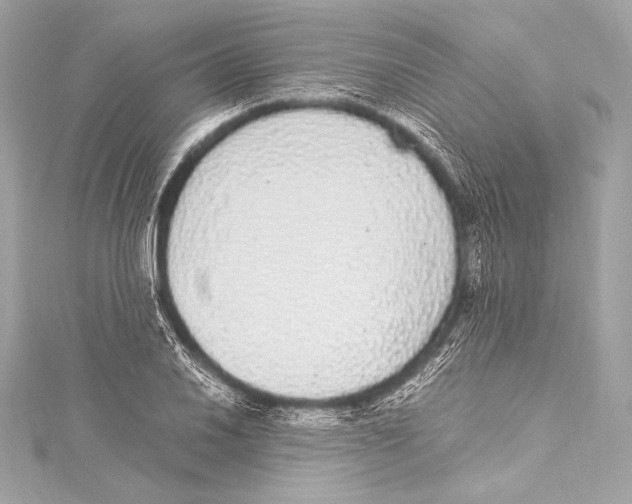 X0000115341030200911301543