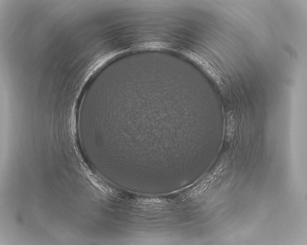 X0000115341031200911301544