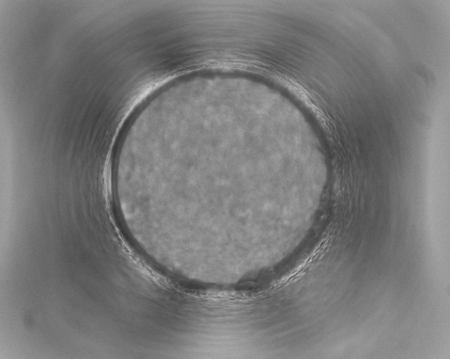 X0000115341032200911301544