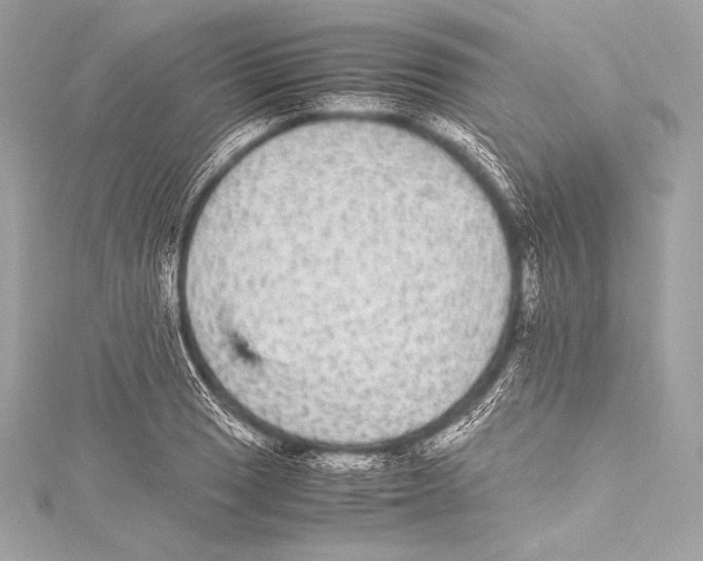 X0000115341033200911301544